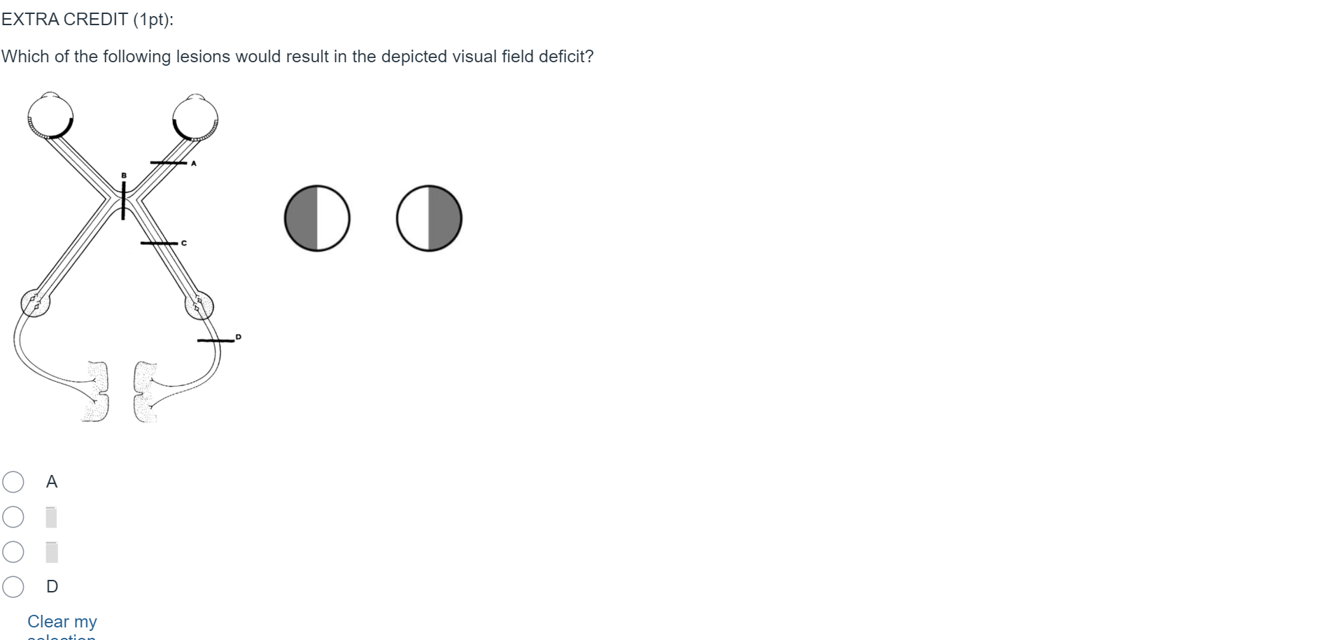 Question Image