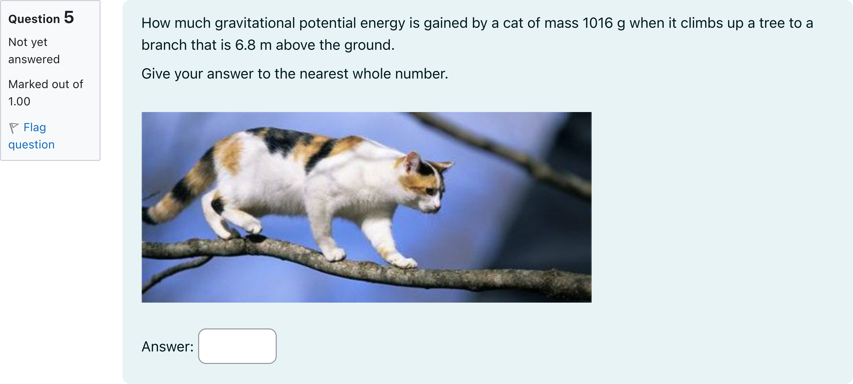 Question Image