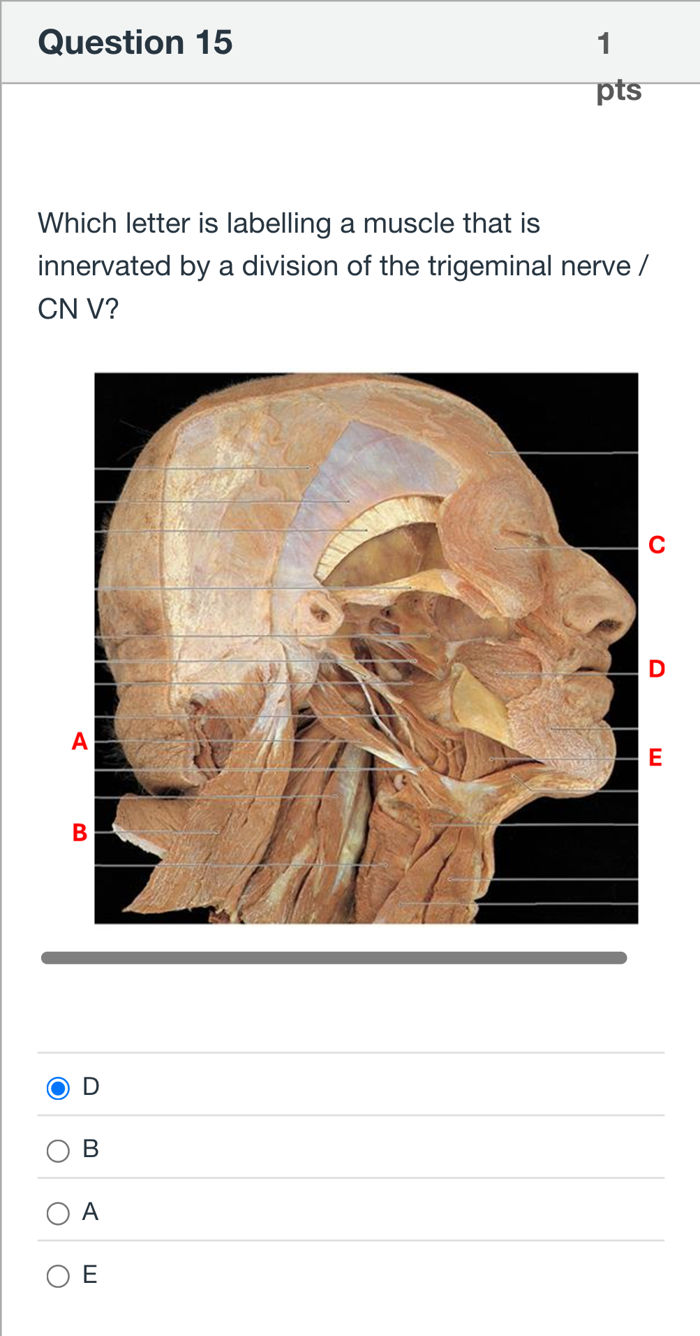 Question Image
