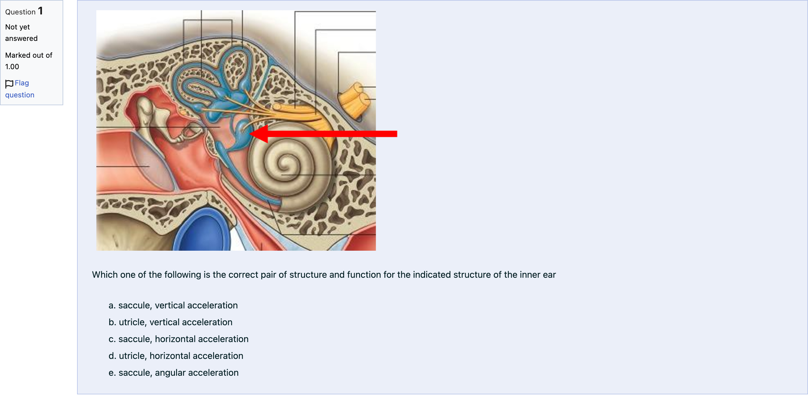 Question Image